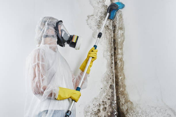 Best Mold Testing  in Lford, MI
