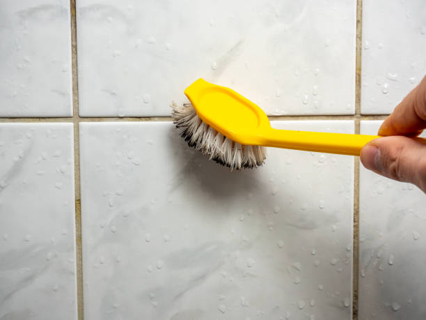 Best Local Mold Removal Service  in Lford, MI