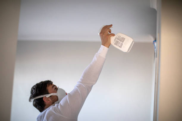 Best Emergency Mold Removal  in Lford, MI