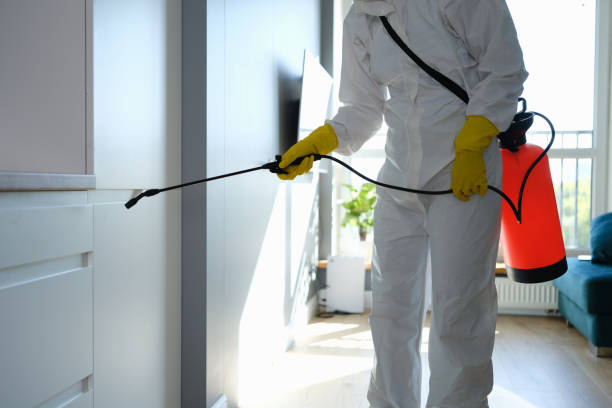 Certified Mold Removal in Milford, MI