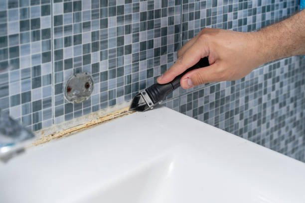 Best Fast Mold Removal  in Lford, MI